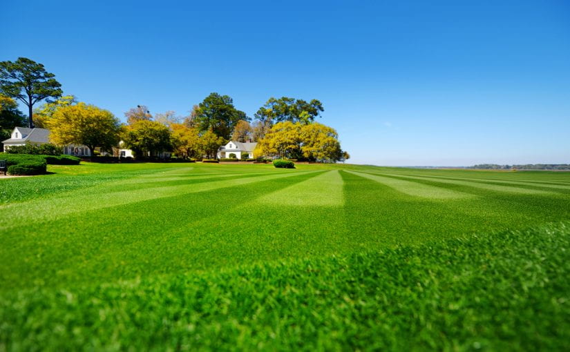 Top-Notch Lawn Mowing: The Ultimate Guide for a Pristine Lawn