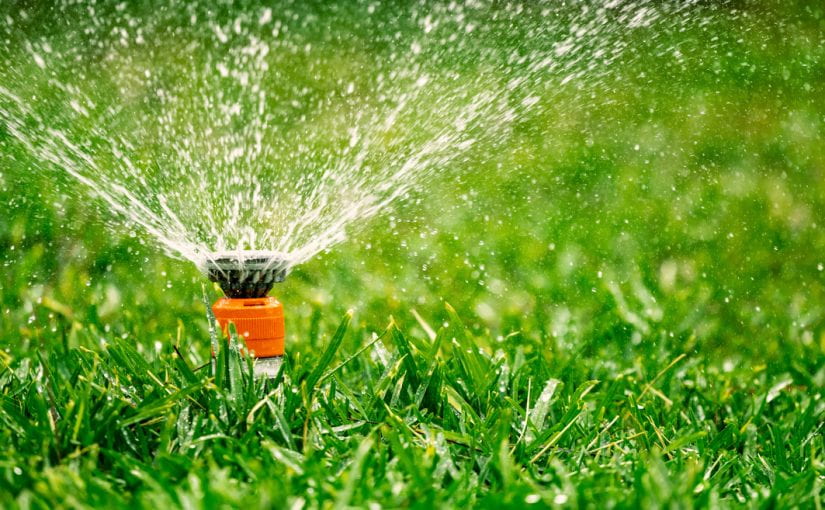 Top-Notch Lawn Care Services in Caldwell, Idaho: 10 Essential Tips